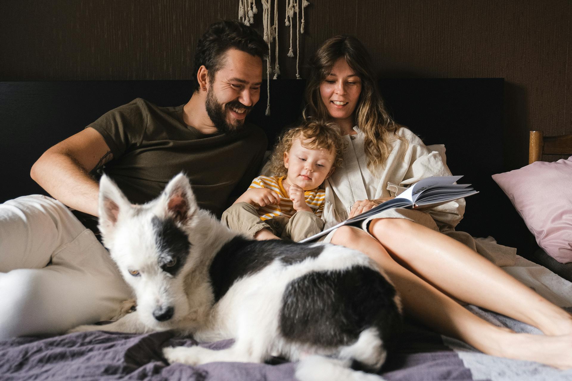 Familie citind impreuna